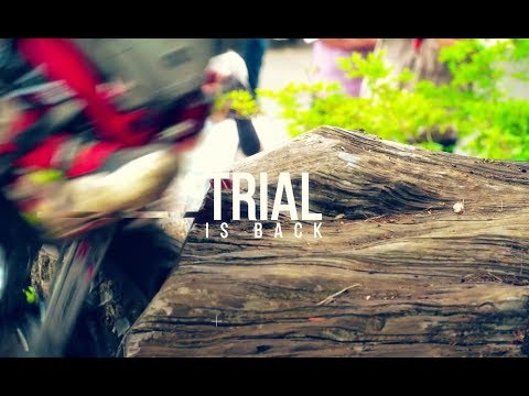 Best Shots - 2019 FIM TrialGP World Championship - Pietramurata (ITA), 26 May