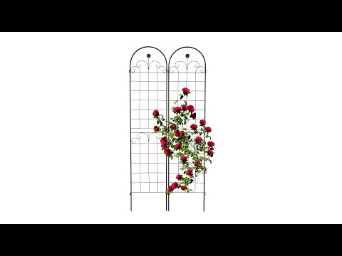 Plantenklimrek set van 2 - Rankhulp voor klimplanten in de grond