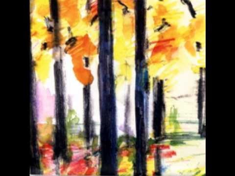 The Magnetic Fields - Why I Cry