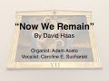 “Now We Remain” By David Haas (Catholic Hymn, Organ and Vocals)