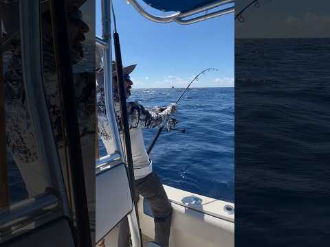 From a perfect day to a horror movie in the blink of an eye #worldcat #fishing #checkyourbilges