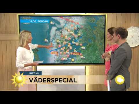 Väderspecial: "Stabilt väder väntar" - Nyhetsmorgon (TV4)