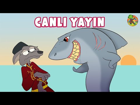 Hiç Uslanmayan Kurt ! - Türkçe - Çizgi Film &  Masallar - CANLI YAYIN | KONDOSAN