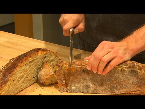 download lagu mp3 mp4 Where To Buy Fresh Milled Flour Near Me, download lagu Where To Buy Fresh Milled Flour Near Me gratis, unduh video klip Where To Buy Fresh Milled Flour Near Me