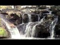 CLDC Tourism