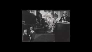 Lou Reed_Like a Possum-Photochrome video installation