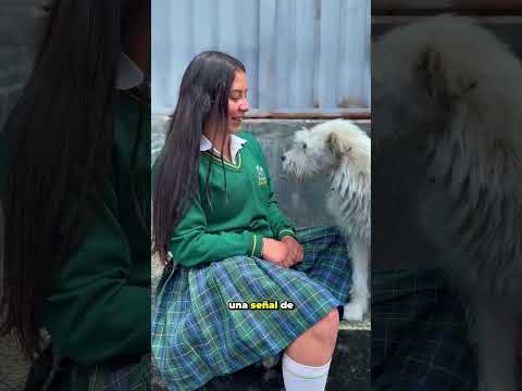 Chitagá: jornada de atención a jóvenes prioriza la salud mental 🧠 #norteterritoriodepaz  #noticias