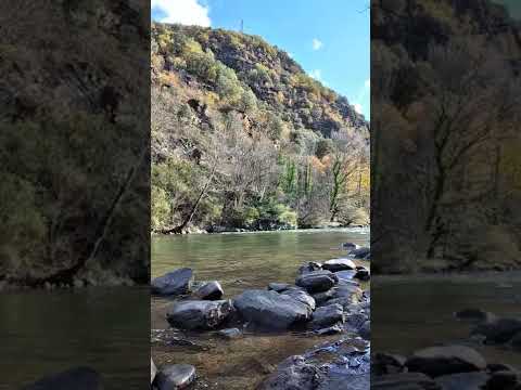 Rătăceam străin prin lume - Ana Claudia Pașca