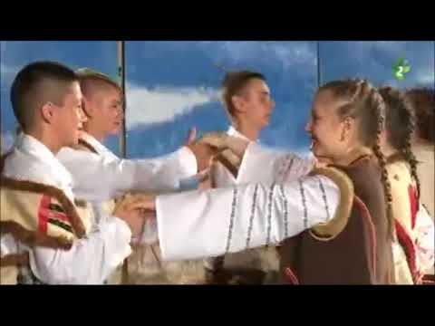 KOLO VODIČKI - KUD "ŽATVA", Kocur