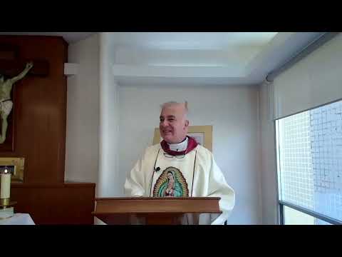 Homilía 12 de diciembre, 2022. P. Ángel Espinosa de los Monteros L.C.