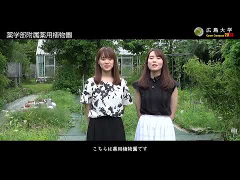 広島大学薬学部　施設紹介
