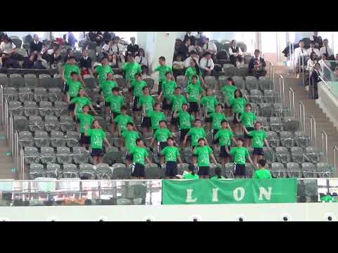 【Gala2017】2017－18 SGSS Swimming Gala Cheering - Grand Show