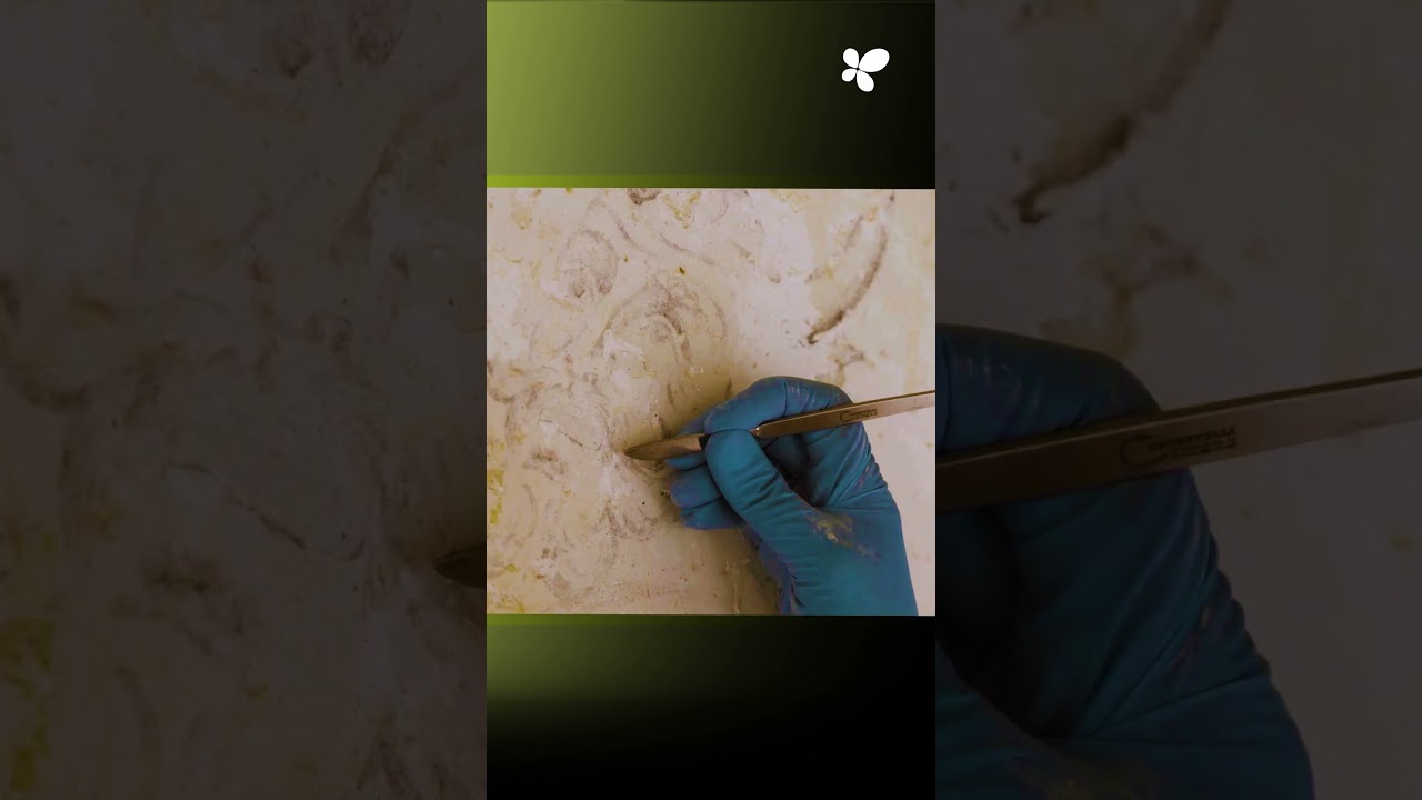 Rehabilitación del patrimonio y dotación del Convento de San Diego