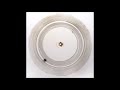 10 Terry Riley  - The Old timer