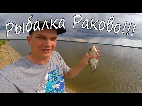 Фото Рыбалка Раково!!! Рыба ЕСТЬ!!! 08.06.21.