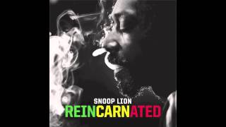 Snoop Lion Feat. Busta Rhymes & Chris Brown - Remedy