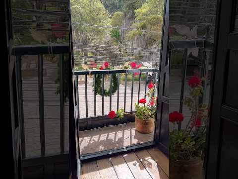 Año nuevo 1ro de enero en cucunuba Cundinamarca Colombia #parejaextranjera #cucunuba #colombia #love