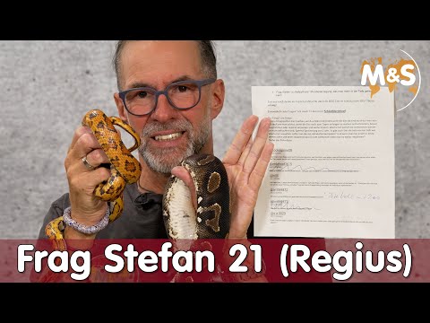 Frag Stefan #21 | Auslaufstall im Sommer für Schlangen