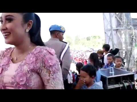 TERALI BESI   ANISA RAHMA NEW PALLAPA IPH