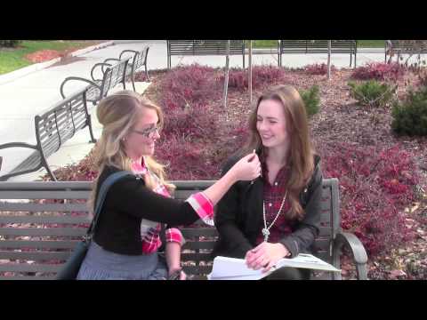 Comm 101 High Culture vs Low Culture