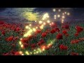 Vangelis - Memory of Antarctica  MOHN