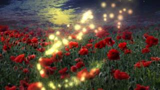 Vangelis - Memory of Antarctica  MOHN