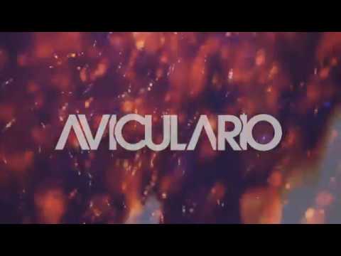 AVICULARIO - PROMO VIDEO 2013