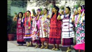 preview picture of video 'Bailes folklóricos de México Galería de fotos'
