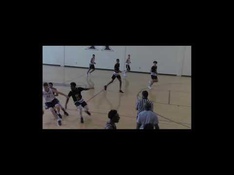 vs Pro One Select Gray 2019