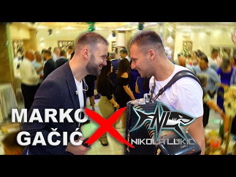 Marko Gacic & ork. Nikole Lukica AJKULE - urnebes u Smederevu