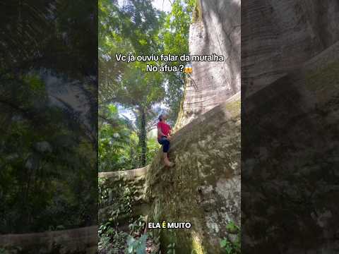 🚨 vc já conhecia a muralha do afua😱 veja… #afua #para #viraliza #viral