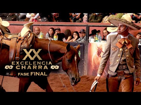 3 lugar Caladero Futurity Abierto - Cuco Raya -Fase Final Circuito EXCELENCIA CHARRA XX 2021
