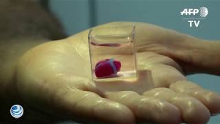 Corazón de tejido humano con impresora 3D.