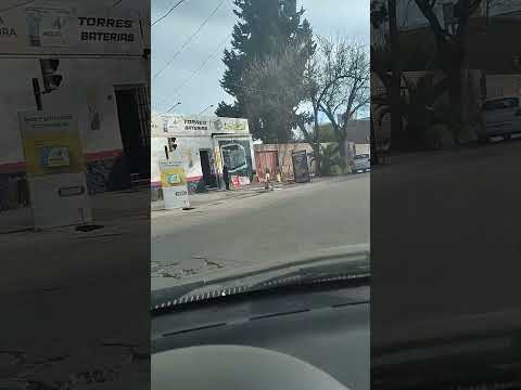La mosca en el barrio - Las Heras - Mendoza - Argentina....