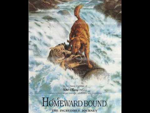 03. Just over That Next Hill (score) - Homeward Bound: The Incredible Journey OST