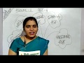 Class 4 Hindi I 27 05 2020