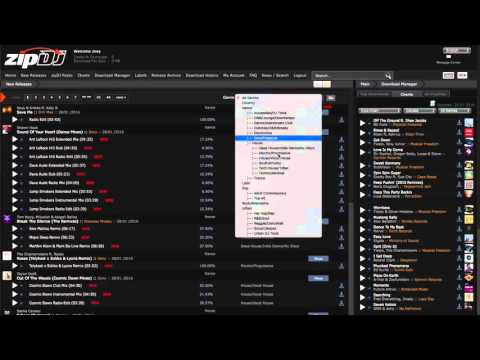 zipDJ Digital Download Pool Review & Talkthrough