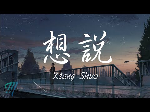 Yan Ren Zhong 顏人中  - Xiang Shuo 想說 Lyrics 歌词 Pinyin/English Translation (動態歌詞)