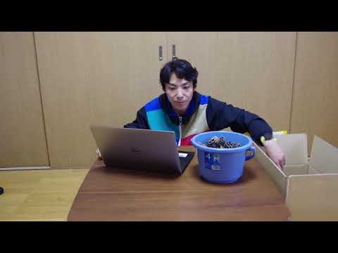 看護学科 松ぼっくりで信頼区間を確かめる