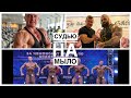 ФББР НЕ УДИВИЛА | МОЩНАЯ ТРЕНИРОВКА ДЕЛЬТ | РОЗЫГРЫШЬ ПОДАРКОВ