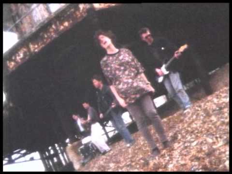 Waiting For The Winter - The Popguns