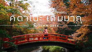 ศาลเจ้าคิตาโน๊ะ เทมมังกู หนีจากวัดทอง ไปศาลเจ้า มันจะดีขนาดไหนนะ [4K]