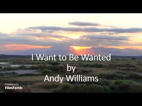 I Want To Be Wanted - Andy Williams