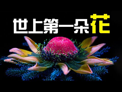 最早的植物