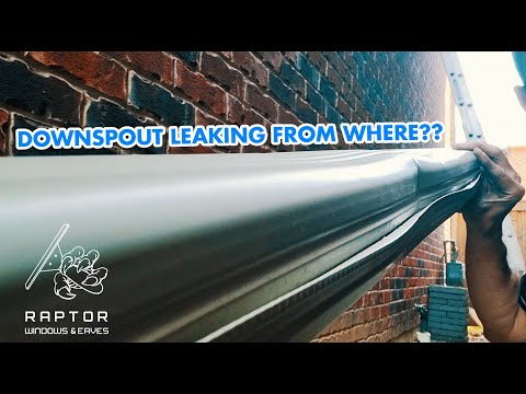 Raptor The Luxury Brand video.