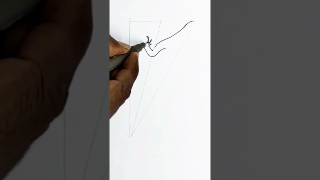 Calotes Drawing method