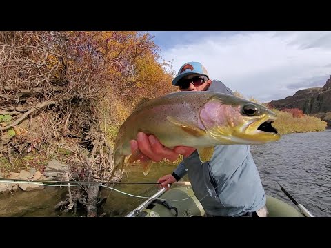 Hibernator Trout Streamer // How to Spey Fish It