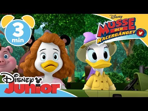 Musse och Racergänget | Glada Hjälpen på Safari 🐼- Disney Junior Sverige