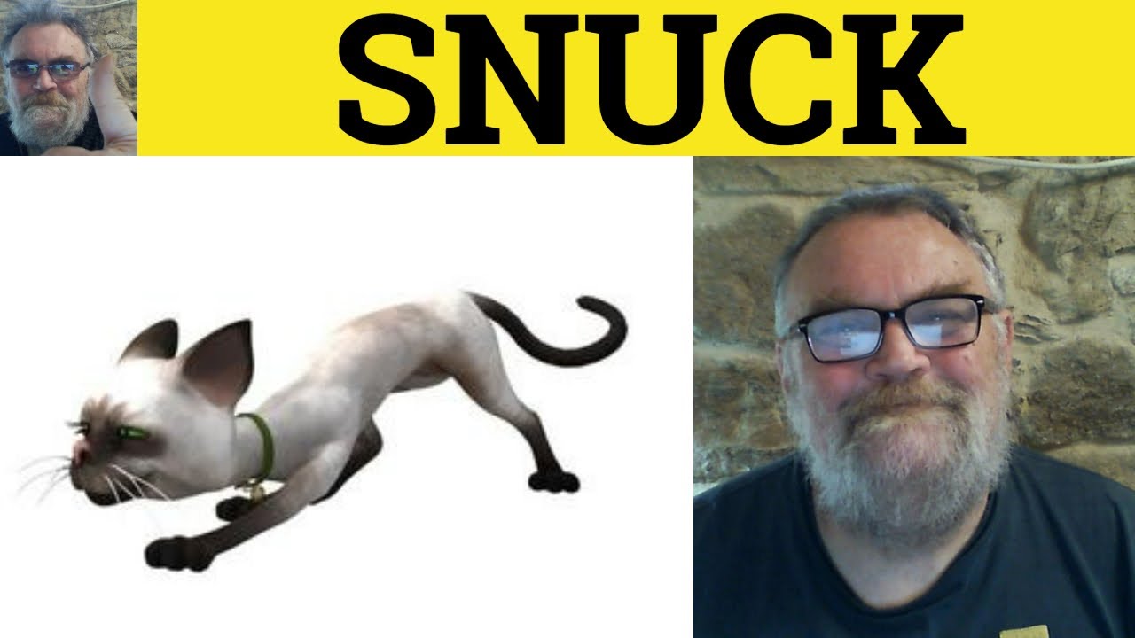 🔵 Snuck Meaning - Snuck Examples - Snuck Defined - Sneak Sneaked Sneaked - Sneak Snuck Snuck