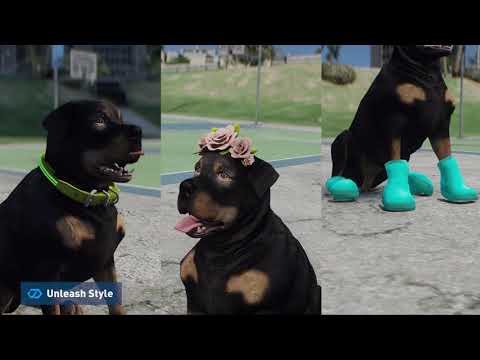 Husky Dog [PED] [DOG] [PETS] thumbnail 5